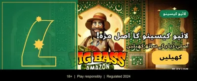 روزانہ لاگ ان کریں اور بونس پائیں
